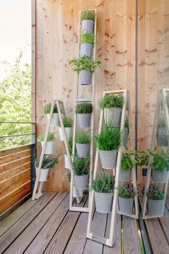 Pflanzenleiter für drinnen und draußen