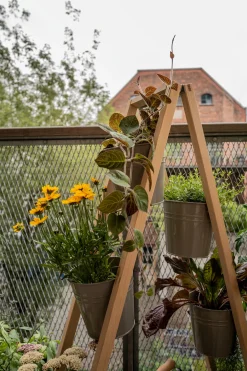 Pflanzenleiter für drinnen und draußen