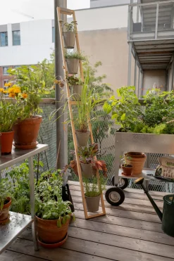 Pflanzenleiter für drinnen und draußen