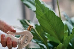 Pflanzensprüher mit Messingdüse