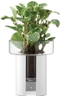 Pflanzgefäß Terrazza