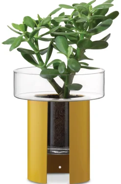 Pflanzgefäß Terrazza