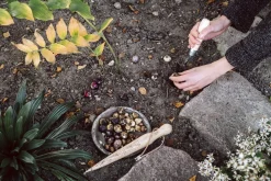 Pflanzholz mit Messingspitze