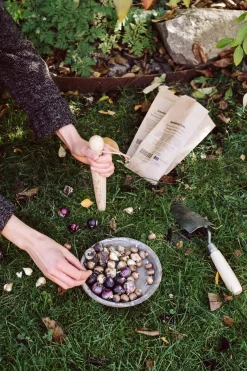 Pflanzholz mit Messingspitze