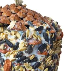 Pinienzapfen Vogelfutter