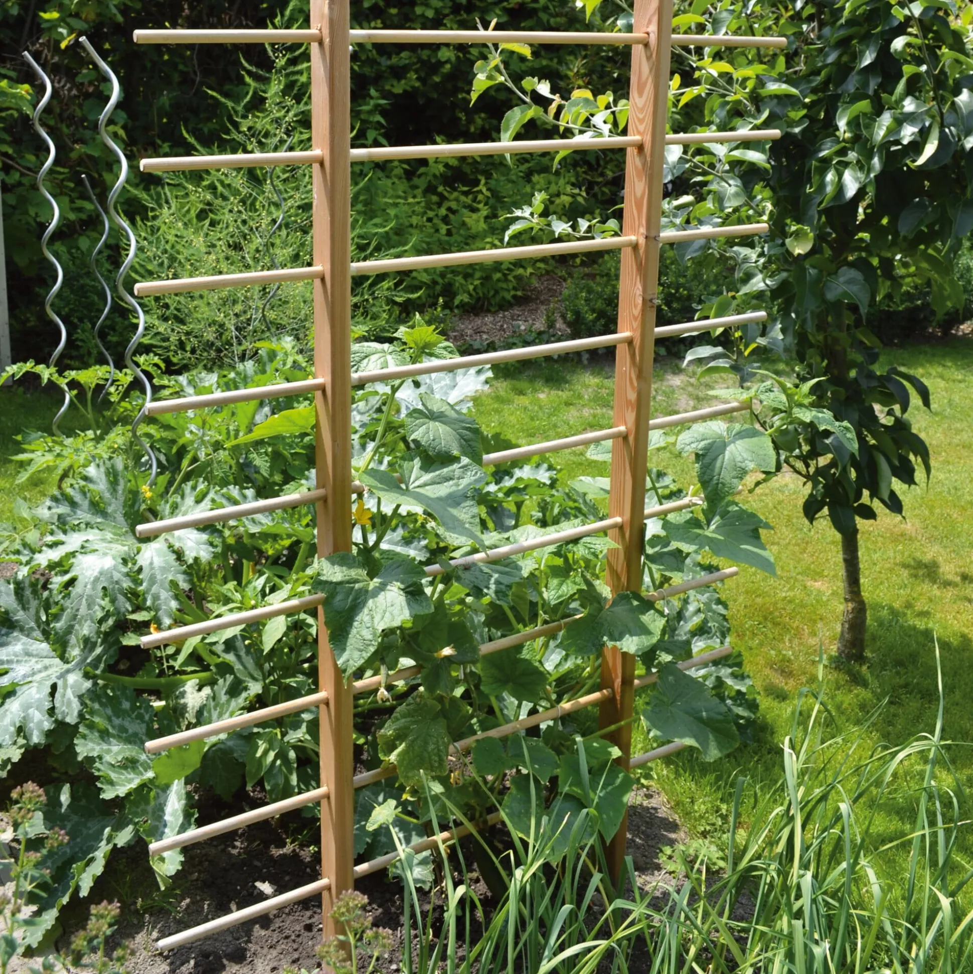 Rankgerüst für Beet und Hochbeet