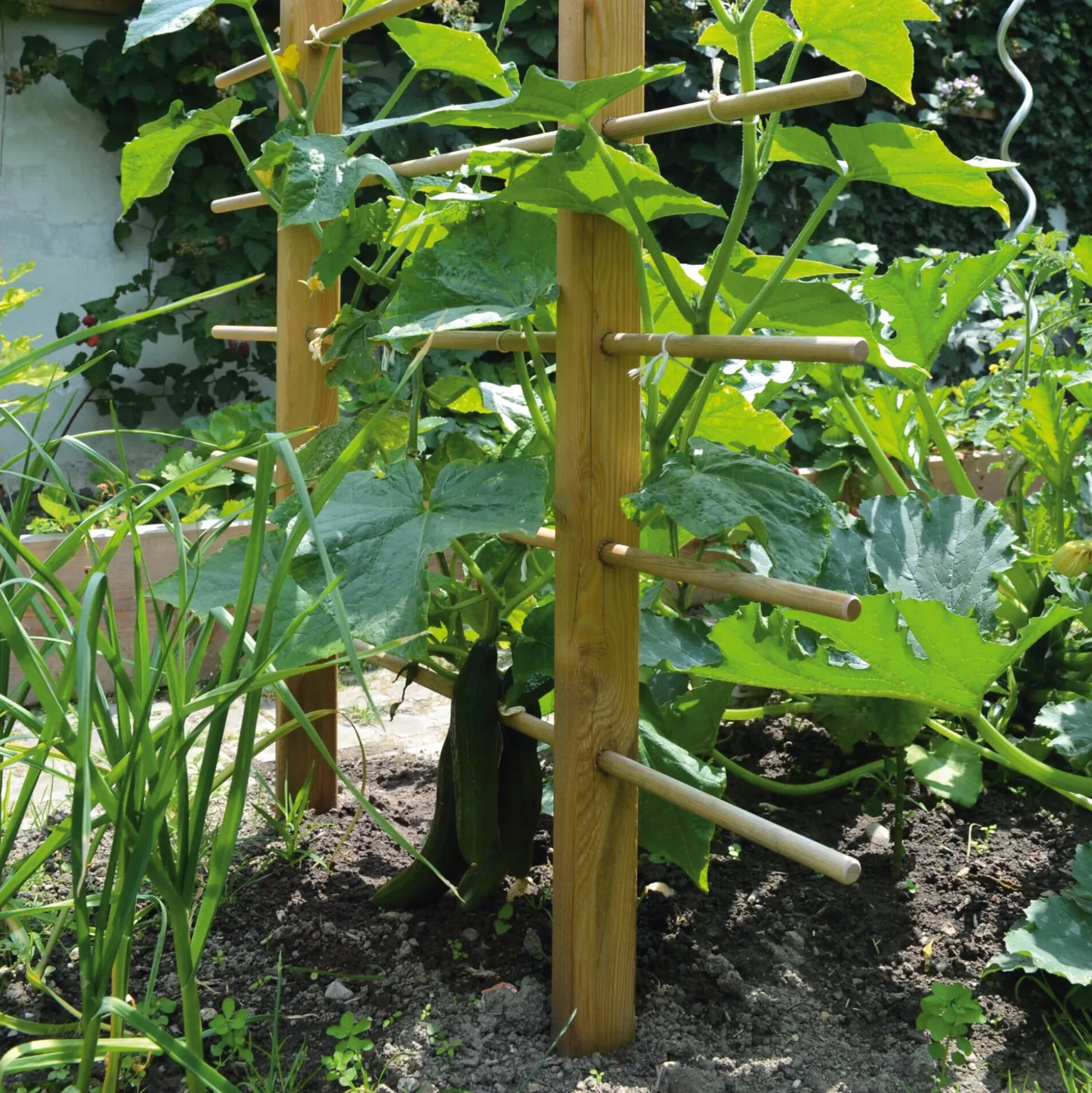 Rankgerüst für Beet und Hochbeet