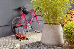 Rucksack Pickwick, Groß