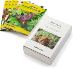 Saatgut Gemüse anbauen auf dem Balkon