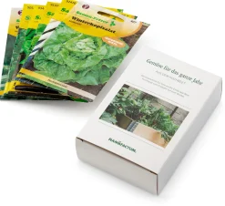 Saatgut Gemüse anbauen im Hochbeet – für das ganze Jahr