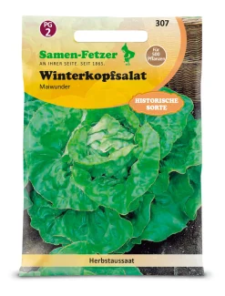 Saatgut Gemüse anbauen im Hochbeet – für das ganze Jahr