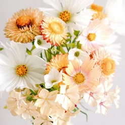 Saatgutkollektion für Blumensträuße