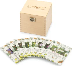 Saatgutset im Holzkästchen