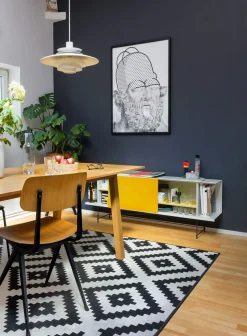 Schiebetür zu Regal Fip