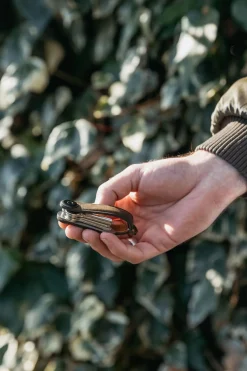 Schlüsselsammler Orbitkey