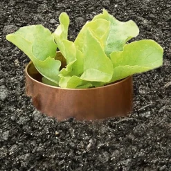 Schneckenring Kupfer