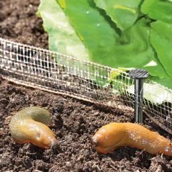 Schneckenzaun Kupferband