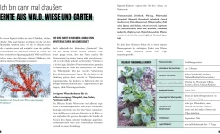 Selbstversorgung im Winter