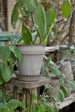 Simona Pflanztopf mit Untersetzer