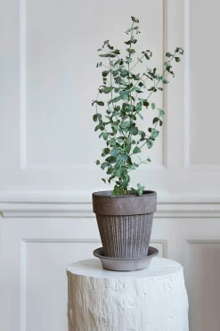 Simona Pflanztopf mit Untersetzer