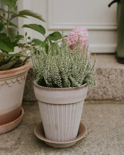 Simona Pflanztopf mit Untersetzer