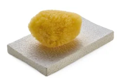 Soil Seifenablage Kieselgur