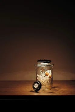 Solarmodul SOMO Classic