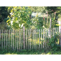 Staketenzaun Kastanienholz