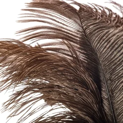 Staubwedel Straußenfeder kurz
