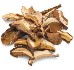 Steinpilze aus dem Piemont