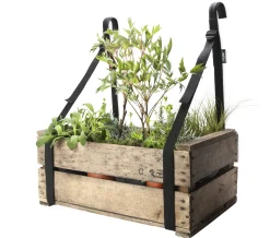 Tragegurt Balkonkiste