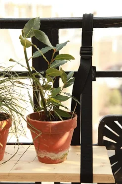 Tragegurt Balkonkiste