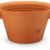 Tulpentopf Terrakotta