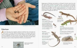 Unserer Natur auf der Spur