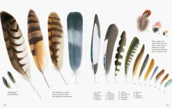 Unserer Natur auf der Spur