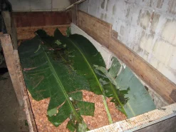 Venezuelan Rio Caribe 72% Schokolade