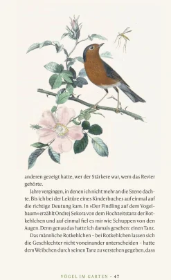 Vögel verstehen