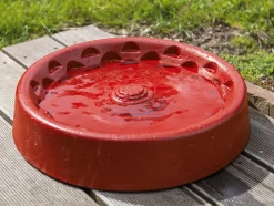 Vogel- und Insektentränke Holzbeton