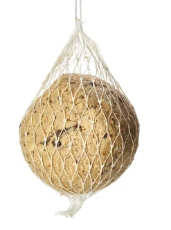 Vogelknödel mit Insekten