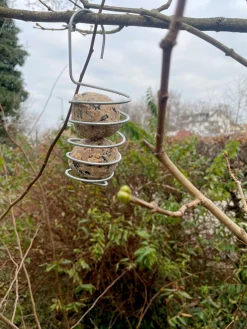 Vogelknödelhalter Spirale