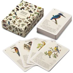 Vogelquartett mit Vogelstimmen