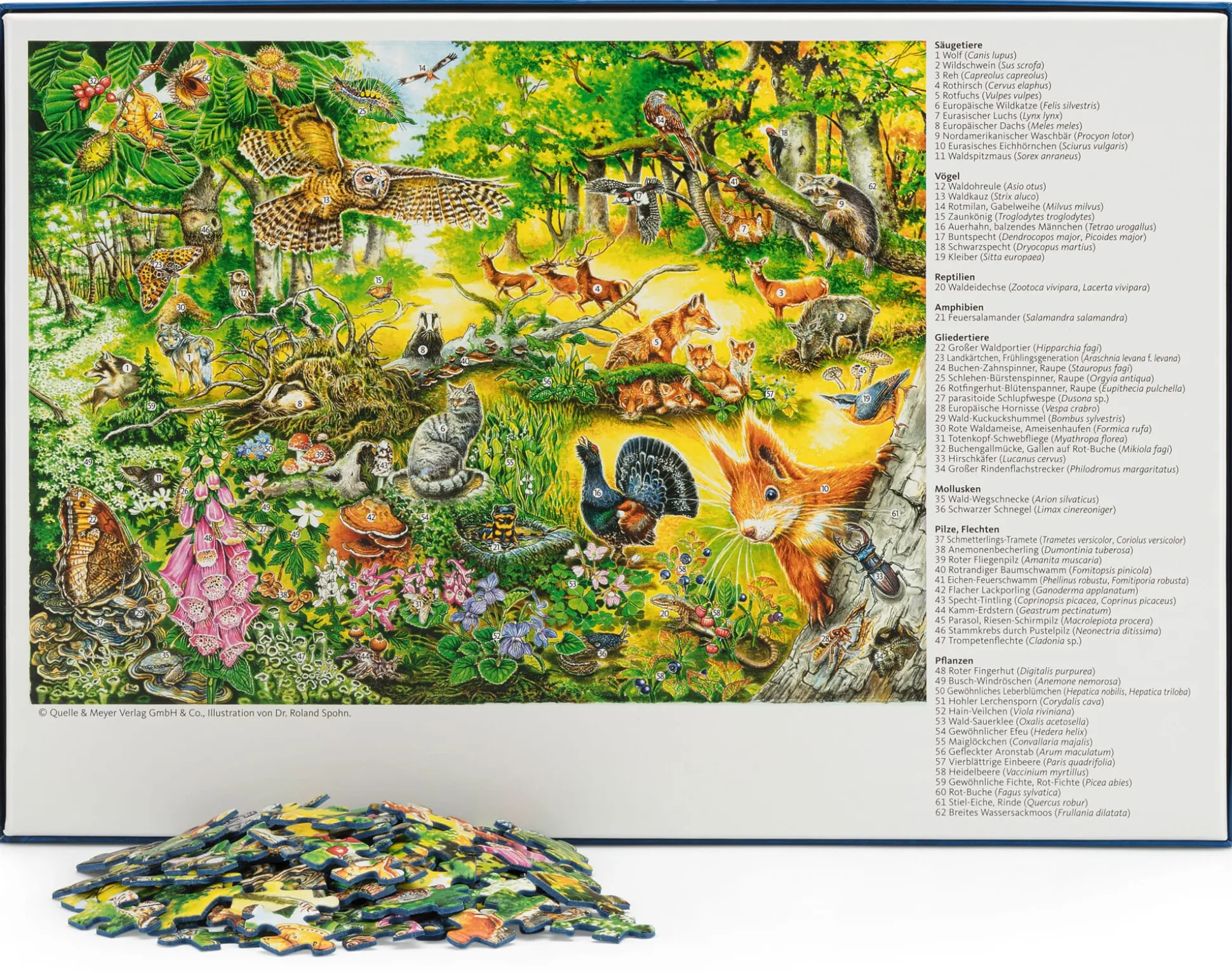 Wald Wimmel Puzzle 500 Teile