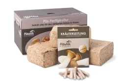 Waldpilzbrut 'Kräuterseitling'