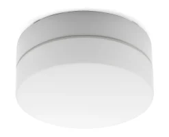 Wand- und Deckenleuchte Zylinder LED