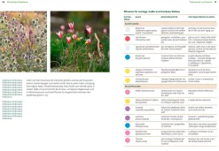 Wächst nicht gibt's nicht