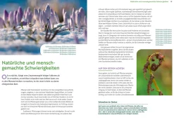 Wächst nicht gibt's nicht