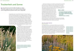 Wächst nicht gibt's nicht