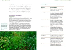 Wächst nicht gibt's nicht