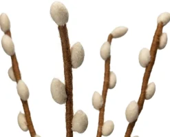 Weidenkätzchenzweig Filz