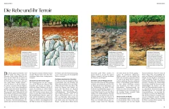 Wein – Die große Schule